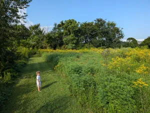 Yard walks and Ellie showing off her plants she's helped water