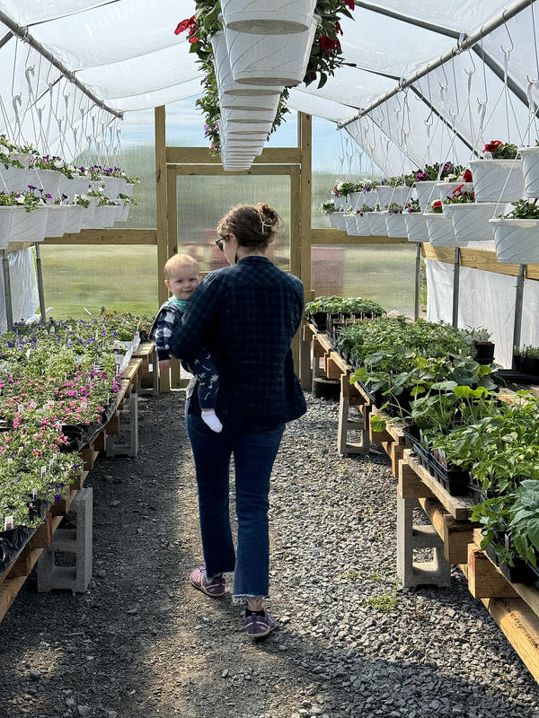 Picked up our flowers from our favorite local farm