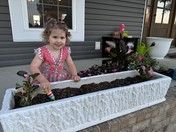 My gardening assistant 🌺