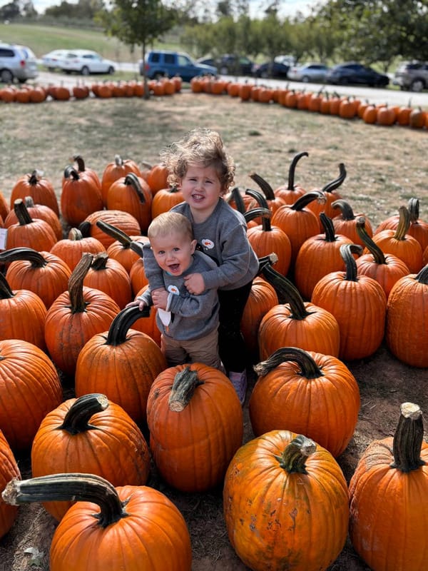 Fall fun 🎃